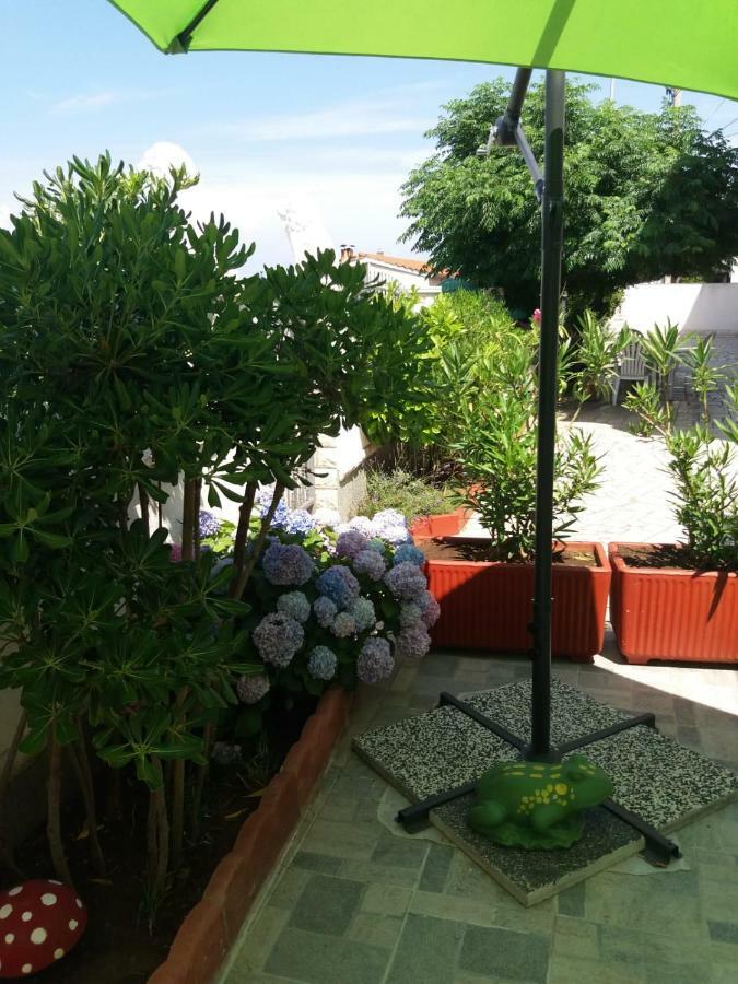 Ml Apartman เซนญ์ ภายนอก รูปภาพ